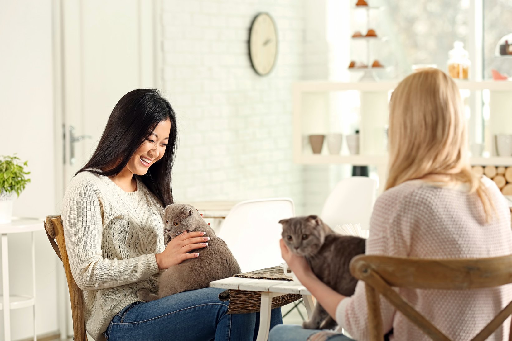 Happy Women Resting in Cat Cafe